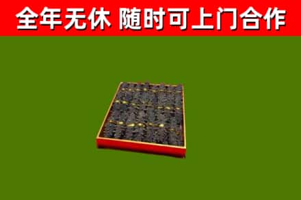 船山回收海参